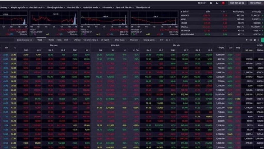 VN-Index grows an impressive 12% in 2024