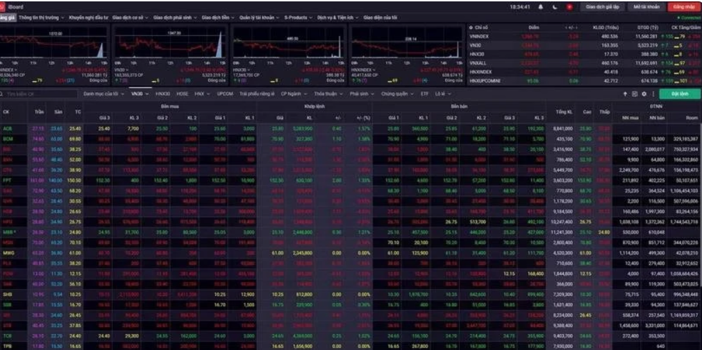 VN-Index grows an impressive 12% in 2024