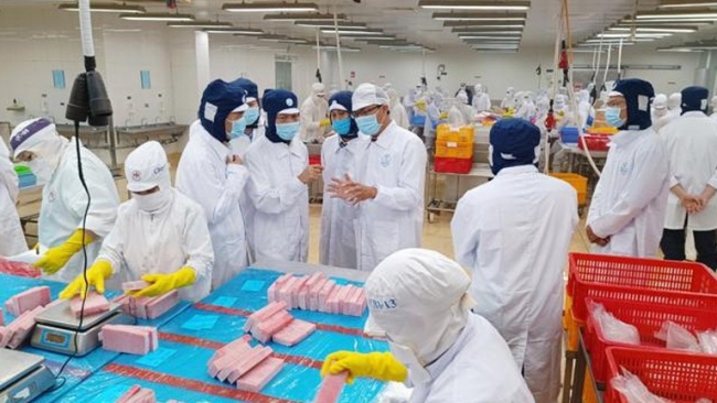 Trong năm 2024 trung bình mỗi tháng có 6.348 doanh nghiệp quay trở lại hoạt động