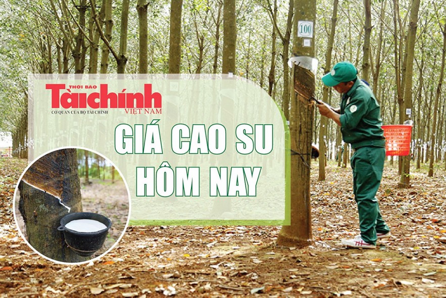 Ngày 7/1: Giá cao su trong nước ổn định, thế giới tiếp đà lao dốc