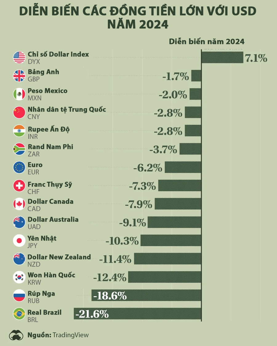 Biến động tỷ giá các đồng tiền lớn so với USD năm 2024 Biến động tỷ giá các đồng tiền lớn so với USD năm 2024