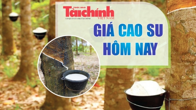 Ngày 8/1: Giá cao su trong nước và thế giới cùng tăng - giảm trái chiều
