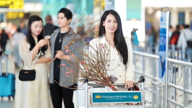 Vietnam Airlines vận chuyển mai đào Tết Nguyên Đán Ất Tỵ 2025