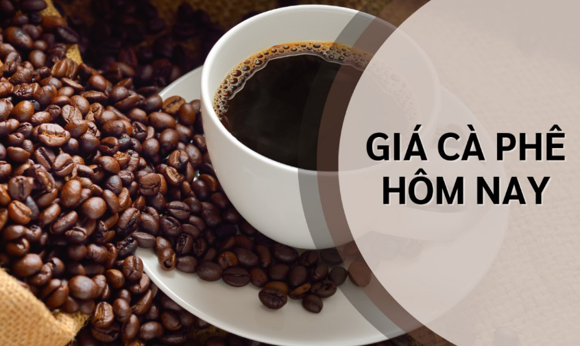 Ngày 13/1: Giá cà phê và hồ tiêu sáng đầu tuần không biến động