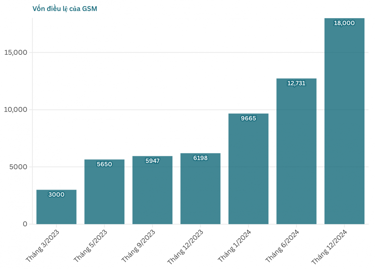 GSM - hãng taxi điện của tỷ phú Phạm Nhật Vượng tăng thêm vốn hơn 5.000 tỷ đồng