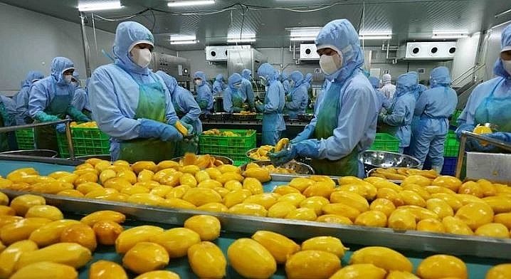 Vietnam eyes 8 billion USD in fruit, vegetable export value in 2025 Vietnam eyes 8 billion USD in fruit, vegetable export value in 2025