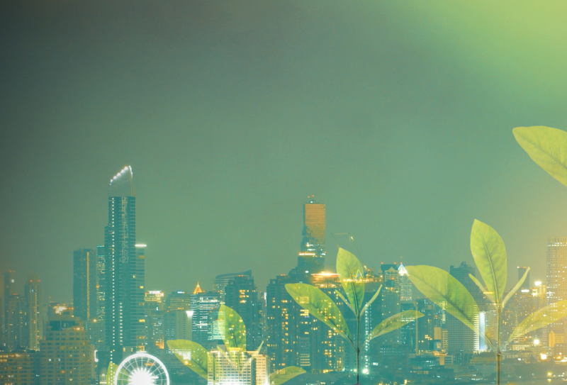 Kỳ vọng hệ thống phân loại xanh thúc đẩy thị trường trái phiếu xanh bứt phá trong năm 2025 Kỳ vọng thúc đẩy thị trường trái phiếu xanh bứt phá năm 2025