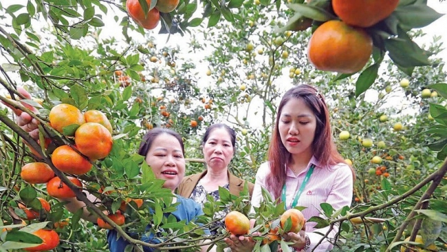 Ngân hàng Chính sách xã hội sẵn sàng tâm thế cho chặng đường mới