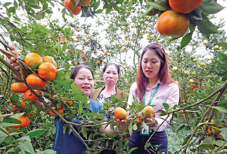 Ngân hàng Chính sách xã hội sẵn sàng tâm thế cho chặng đường mới