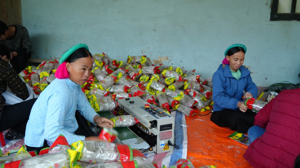  Người dân xã Húc Động (huyện Bình Liêu) phát triển nghề sản xuất miến dong nhờ có nguồn vốn vay từ chương trình tín dụng chính sách.