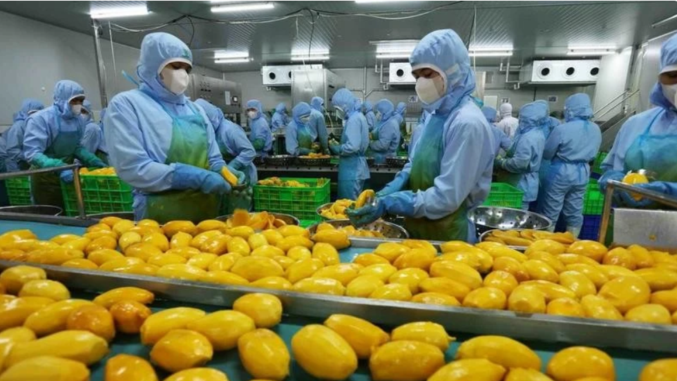 UNCTAD leader highlights Vietnam’s role in global trade UNCTAD leader highlights Vietnam’s role in global trade