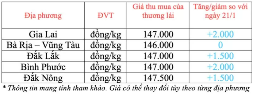 Ngày 22/1: Giá cà phê Robusta tăng rất mạnh và lập đỉnh mới