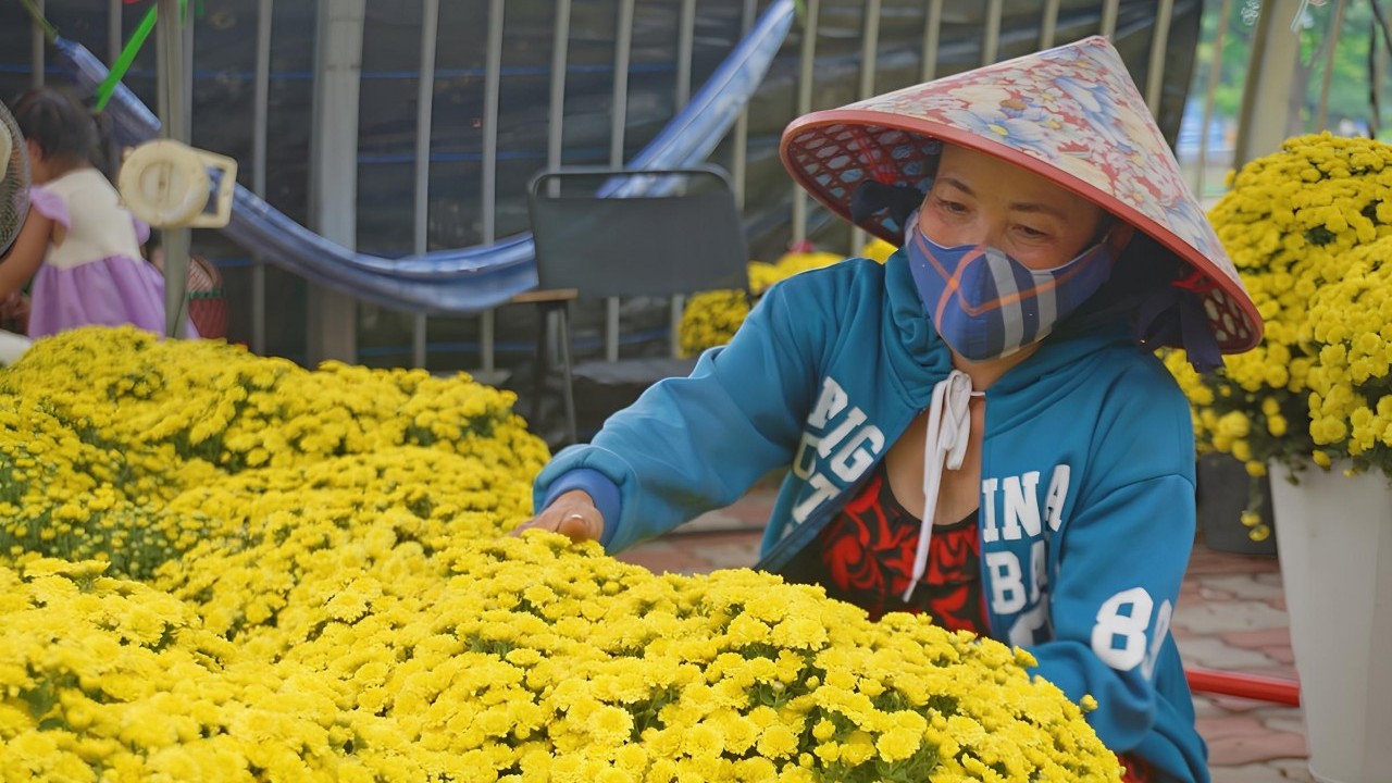 TP. Hồ Chí Minh: Chợ hoa “trên bến dưới thuyền” nhộp nhịp đón xuân 2025