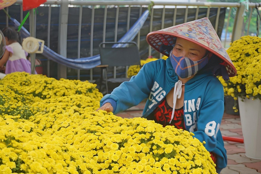 TP. Hồ Chí Minh: Chợ hoa “trên bến dưới thuyền” nhộp nhịp đón xuân 2025