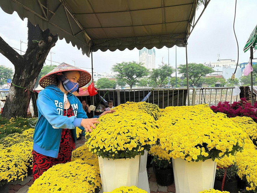 TP. Hồ Chí Minh: Chợ hoa “trên bến dưới thuyền” nhộp nhịp đón xuân 2025
