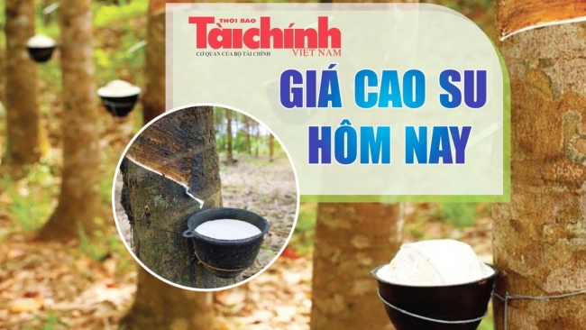 Ngày 23/1: Giá cao su trên các sàn giao dịch biến động trái chiều