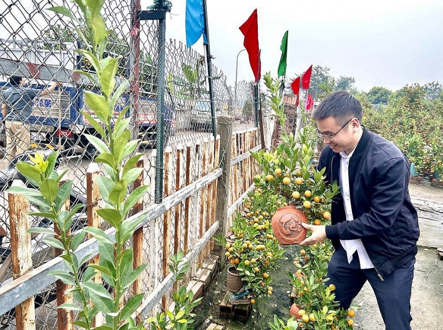 Người dân Thủ đô mua sắm đào quất đón Tết Ất Tỵ 2025