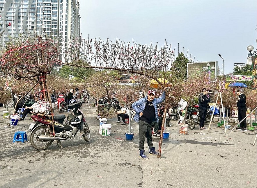 Người dân Thủ đô mua sắm đào quất đón Tết Ất Tỵ 2025