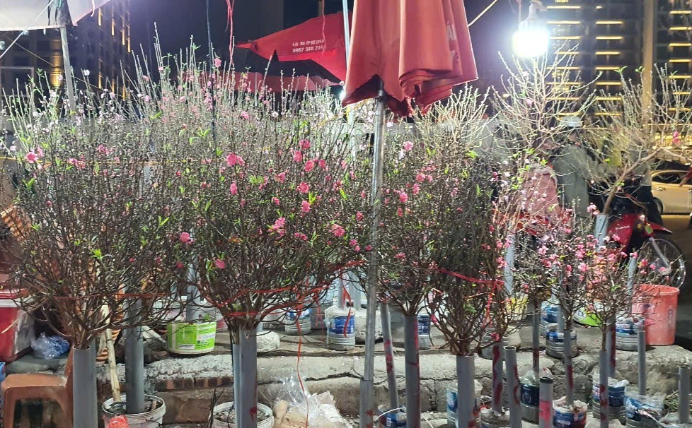 Chợ Tết: Không xảy ra tình trạng sốt hàng, biến động bất thường về giá cả