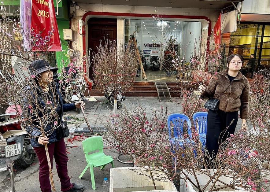 28 Tết Ất Tỵ 2025: Nhộp nhịp mua sắm đồ trang trí, đào, quất chợ phố Cổ Hà Nội