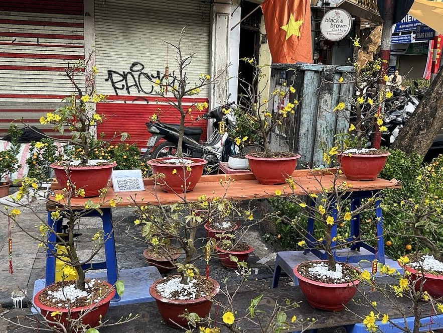 28 Tết Ất Tỵ 2025: Nhộp nhịp mua sắm đồ trang trí, đào, quất chợ phố Cổ Hà Nội