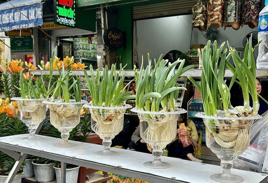 28 Tết Ất Tỵ 2025: Nhộp nhịp mua sắm đồ trang trí, đào, quất chợ phố Cổ Hà Nội