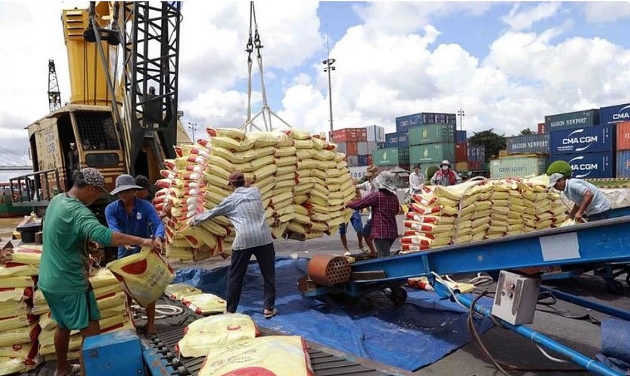Vietnam's rice exports increase over 23%