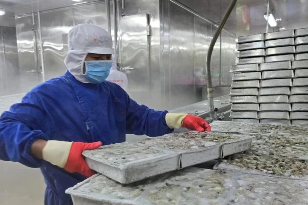 Businesses advised to expand exports to EU via official channels