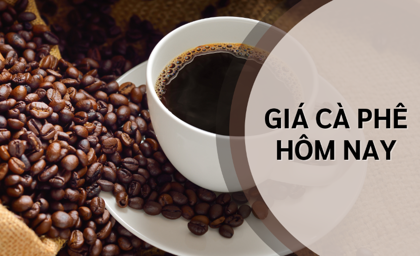 Ngày 2/2; Giá cà phê áp sát 130.000 đồng/kg, Ngày 2/2: Giá cà phê áp sát ngưỡng 130.000 đồng/kg, hồ tiêu neo ở mức cao