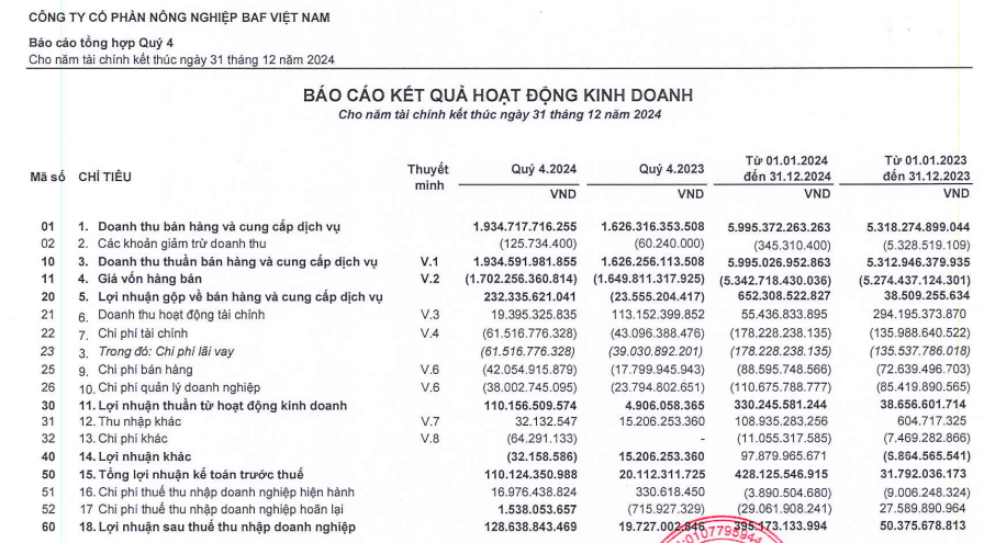 BaF Việt Nam ghi nhận lãi sau thuế năm 2024 tăng trưởng mạnh