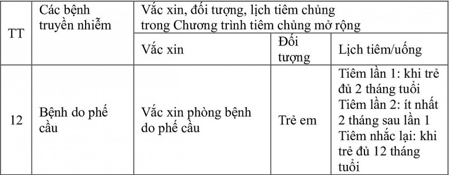 Đề xuất đưa vắc xin phòng bệnh do phế cầu vào chương trình tiêm chủng mở rộng
