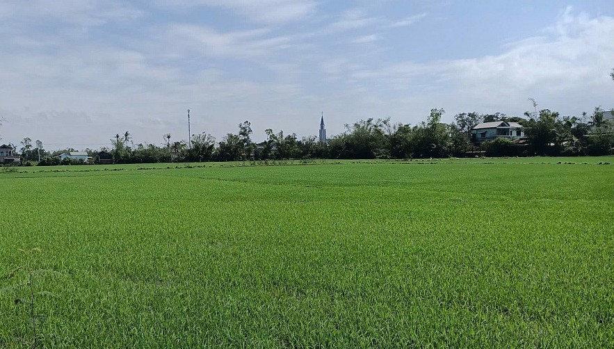 Tiền Giang: Ban hành quy định giá sản phẩm, dịch vụ công ích thủy lợi năm 2025