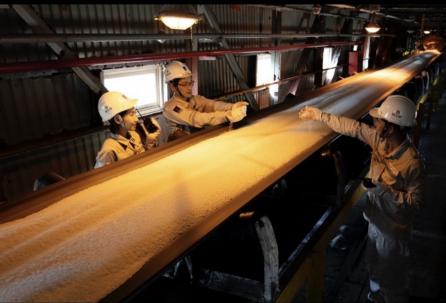 Phân bón Cà Mau khai xuân xuất khẩu 100.000 tấn urê thời điểm trong nước thấp vụ