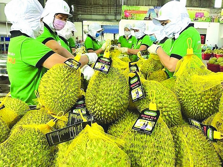 EU siết chặt quy định đối với thương mại nông sản tươi