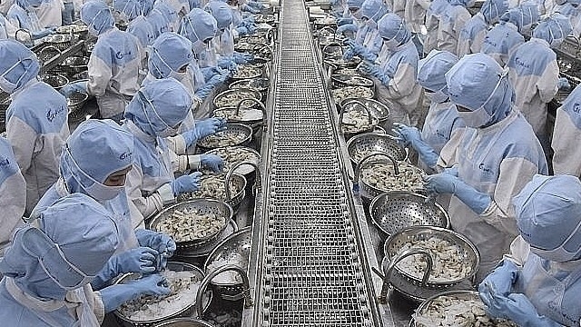 Xuất khẩu thủy sản Việt Nam vẫn có thể duy trì đà tăng trưởng trong năm 2025