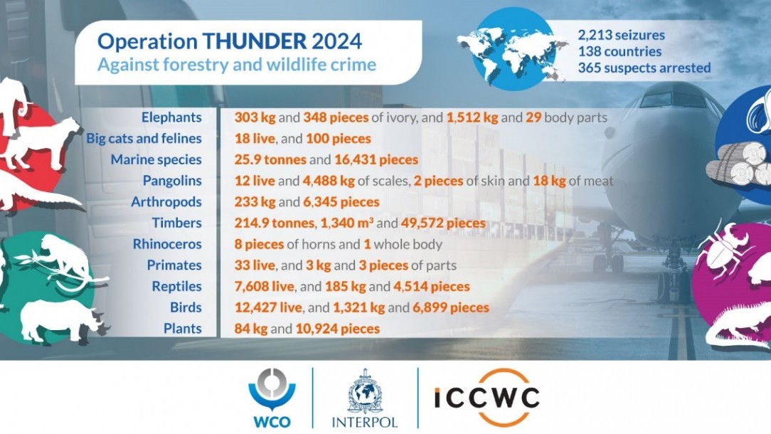 Triển khai Chiến dịch toàn cầu, WCO thu giữ hàng vạn cá thể động vật hoang dã