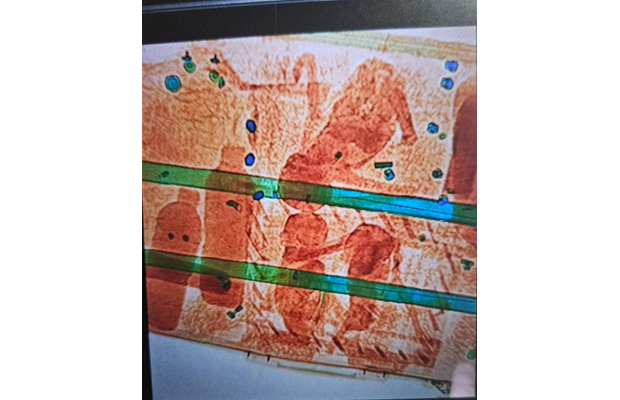 Hải quan Indonesia đã bắt giữ các loài linh trưởng sống được giấu trong hành lý hành khách tại sân bay sau khi soi chiếu. Nguồn: WCO.