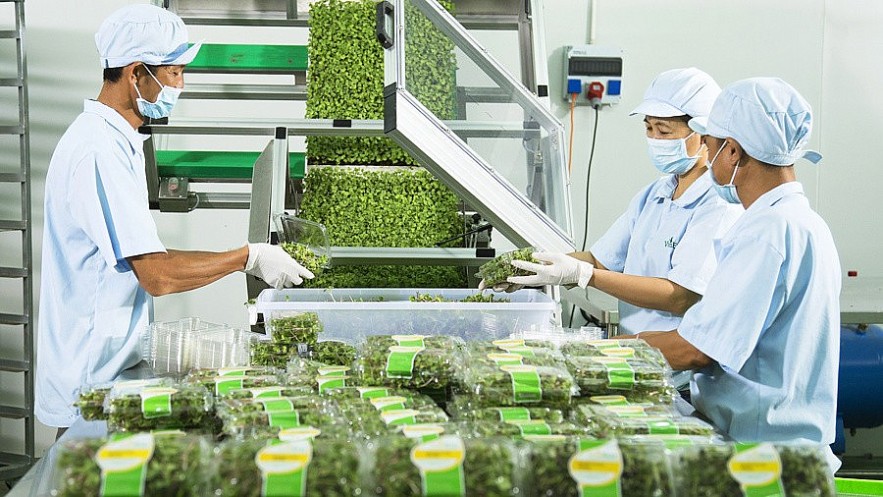 Thống đốc Ngân hàng Nhà nước đề cập các lĩnh vực ưu tiên vốn tín dụng, tạo đà tăng GDP trên 8%