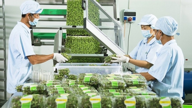 Thống đốc Ngân hàng Nhà nước đề cập các lĩnh vực ưu tiên vốn tín dụng, tạo đà tăng GDP trên 8%