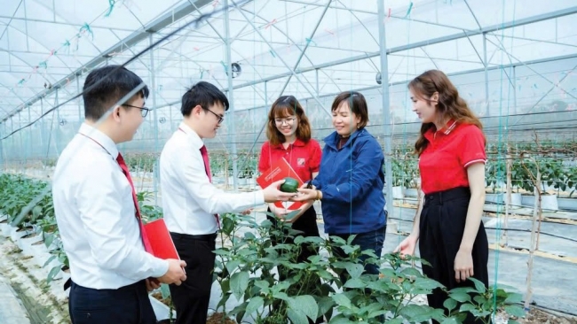Agribank thúc đẩy tăng trưởng xanh, hướng tới phát triển bền vững