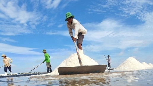 Bạc Liêu: Xã hội hóa 15 tỷ đồng tổ chức lễ hội Festival nghề muối