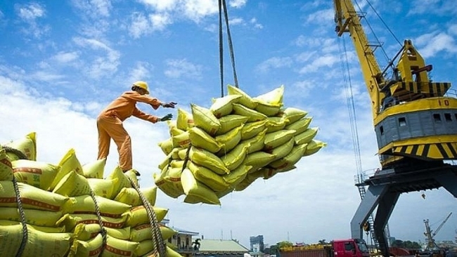 Áp lực giảm giá vẫn bao trùm thị trường gạo trong những tháng tới