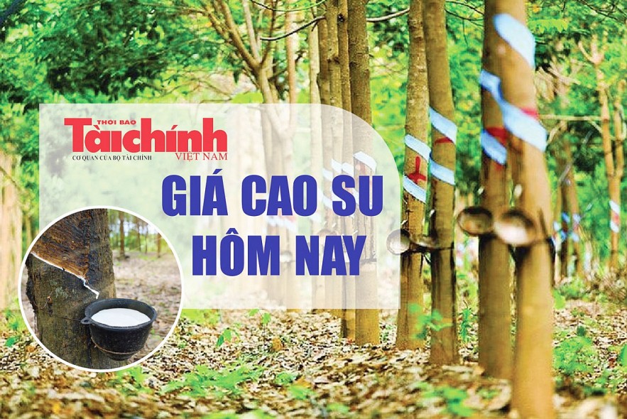 Ngày 17/2: Giá cao su tại sàn SFHE giữ vững đà tăng sáng đầu tuần