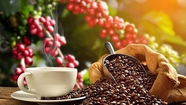 Ngày 22/2: Giá cà phê bất ngờ giảm mạnh, hồ tiêu mất đà tăng