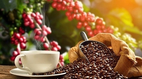 Ngày 22/2: Giá cà phê bất ngờ giảm mạnh, hồ tiêu mất đà tăng