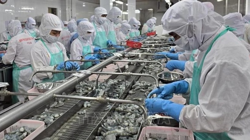 Vietnam’s aquatic exports poised to hit 11 billion USD landmark