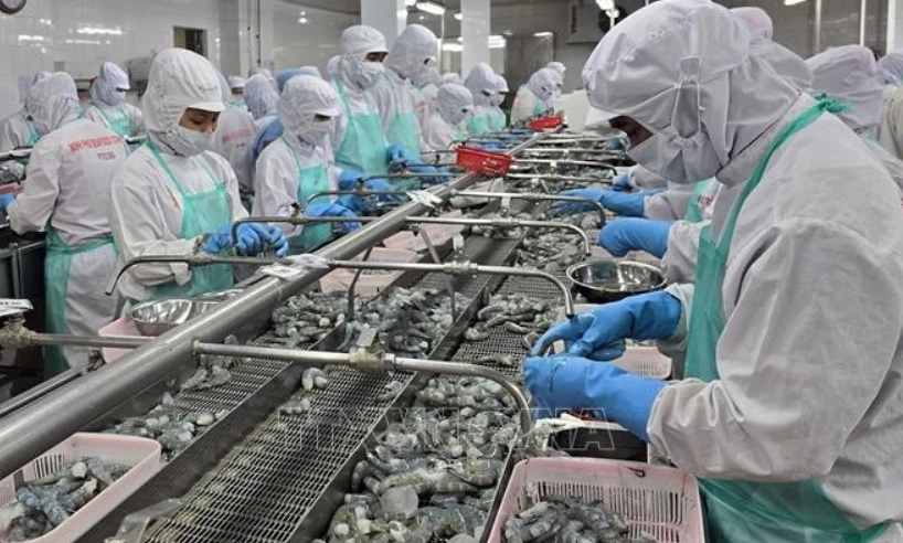Vietnam’s aquatic exports poised to hit 11 billion USD landmark