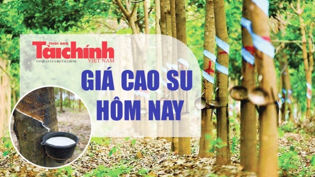 Ngày 24/2: Giá cao su tại sàn SHFE và Singapore tiếp đà giảm, trong nước bình ổn