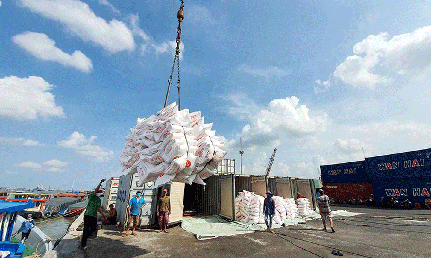 Ngày 24/2: Giá gạo trong nước và gạo xuất khẩu đồng loạt đi ngang sáng đầu tuần Ngày 24/2: Giá gạo trong nước và gạo xuất khẩu đồng loạt đi ngang sáng đầu tuần