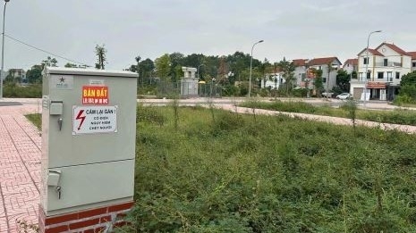 Hà Nội sắp đấu giá 33 thửa đất, khởi điểm 5,6 triệu đồng/m2